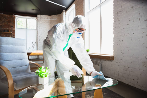 Trusted Stony Brook, NY Mold Removal Services Experts